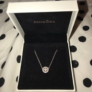 Pandora Necklace
